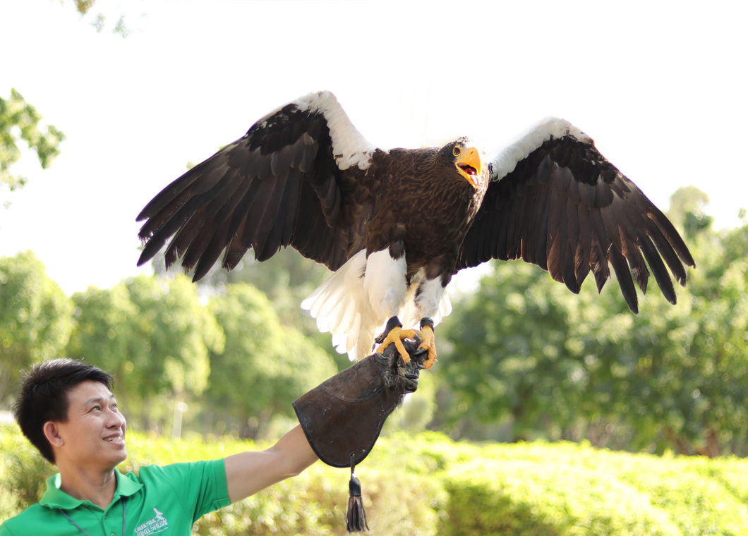 Creek Park Exotic Bird Show | Dubai