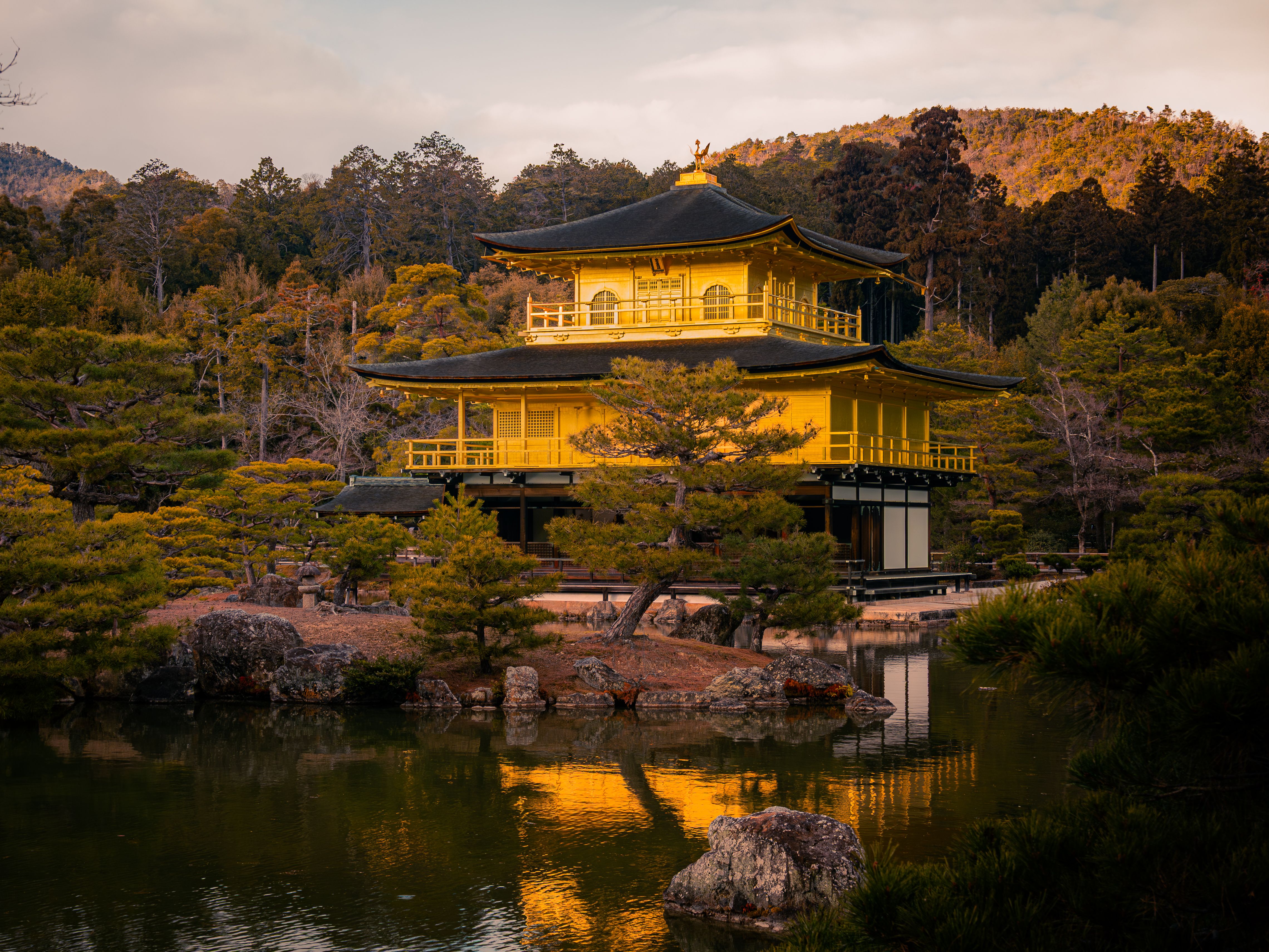 Tokyo to Osaka: 6-Day Cultural Journey through Japan's Highlights