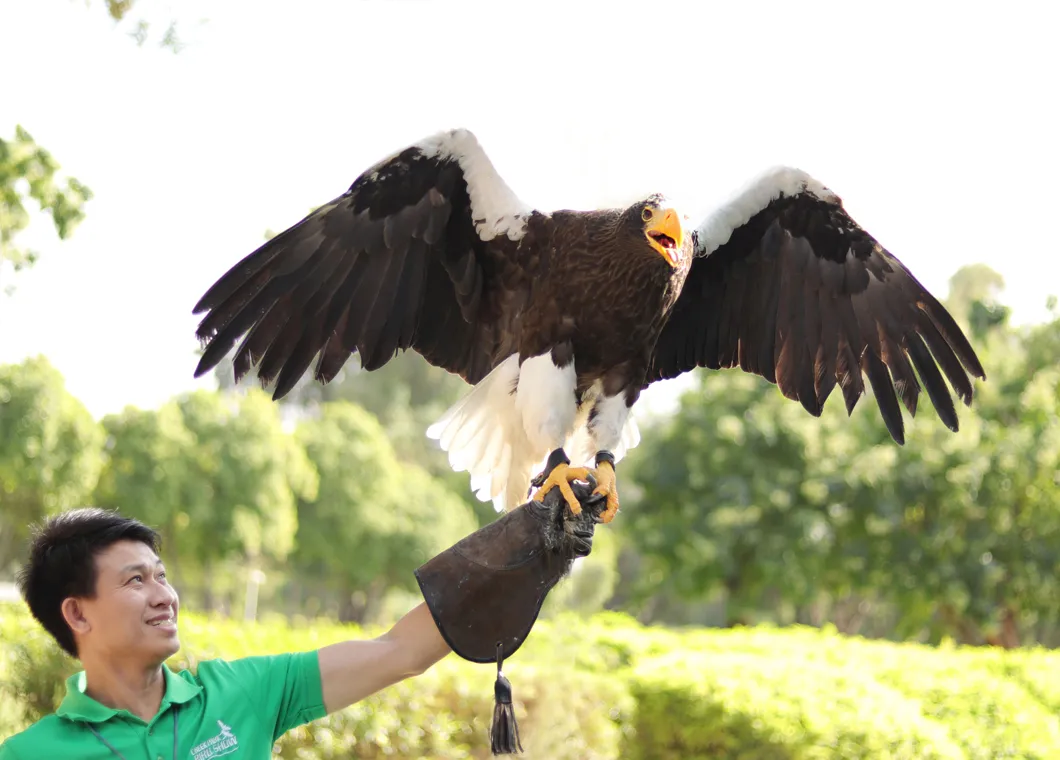 Creek Park Exotic Bird Show | Dubai